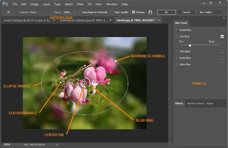 how to blur in photoshop
